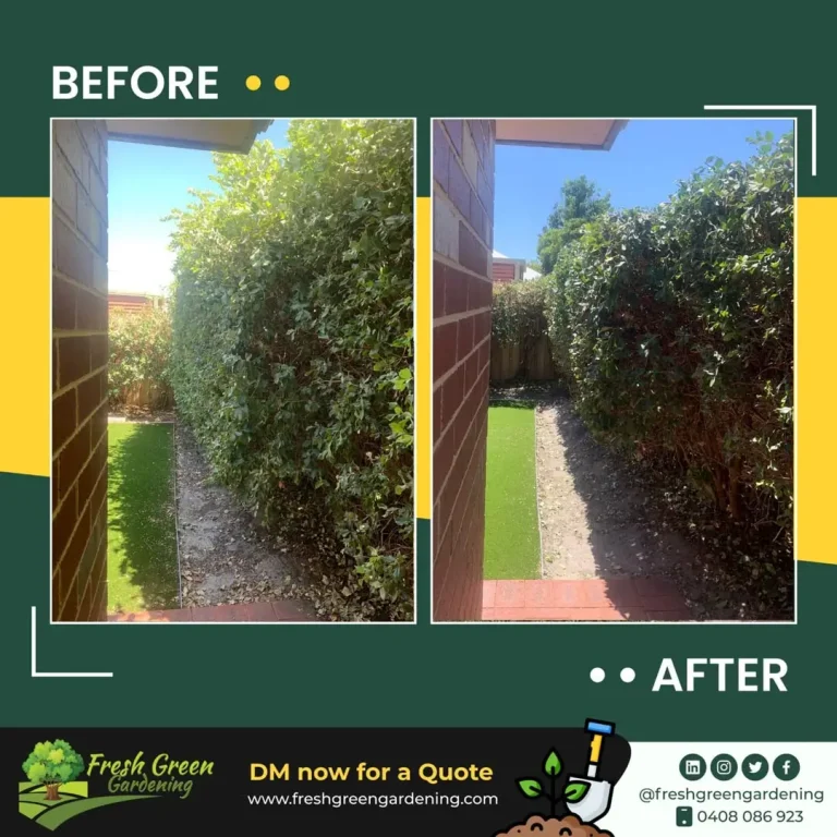 before-and-after-10