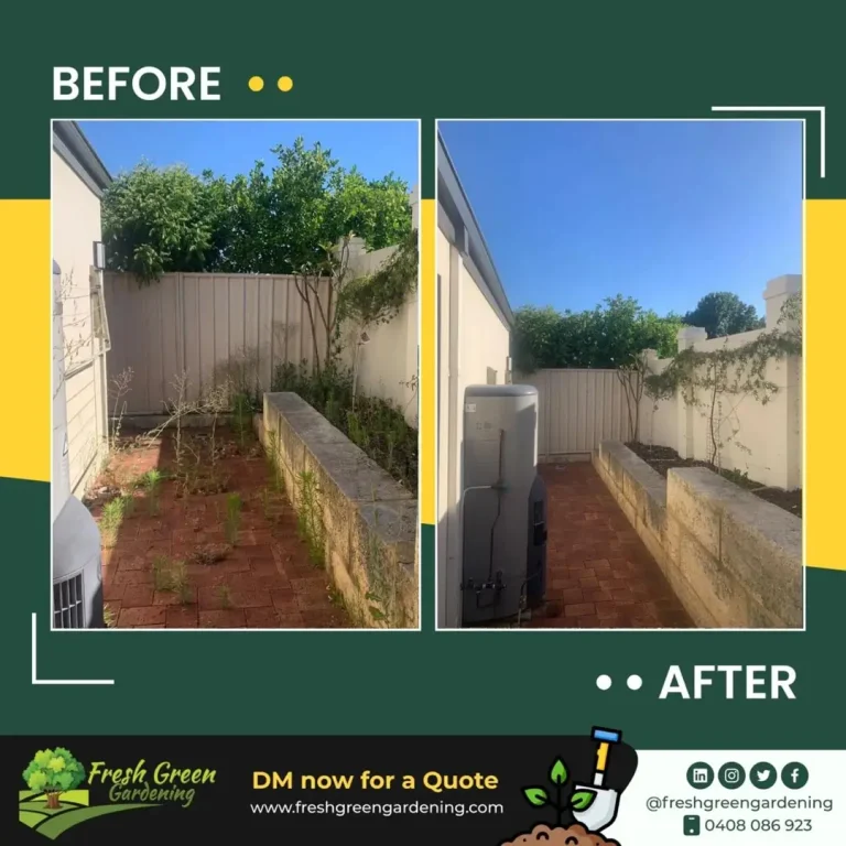 before-and-after-15