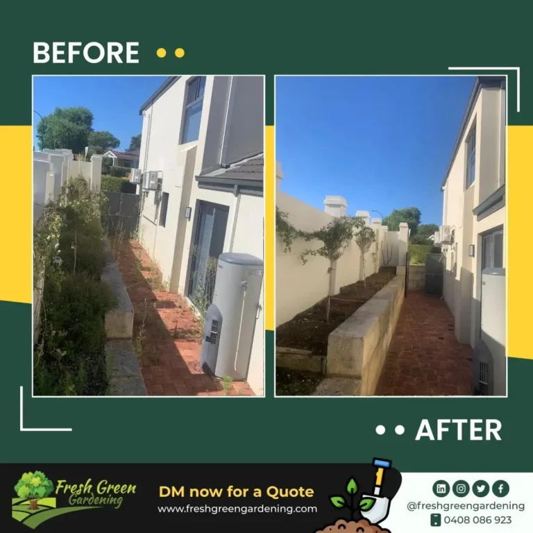 before-and-after-2
