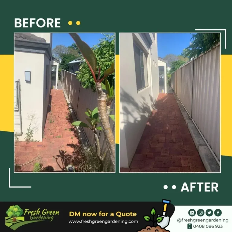 before-and-after-3