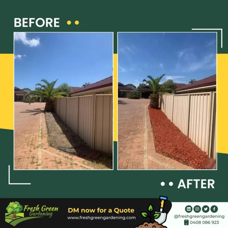 before-and-after-5