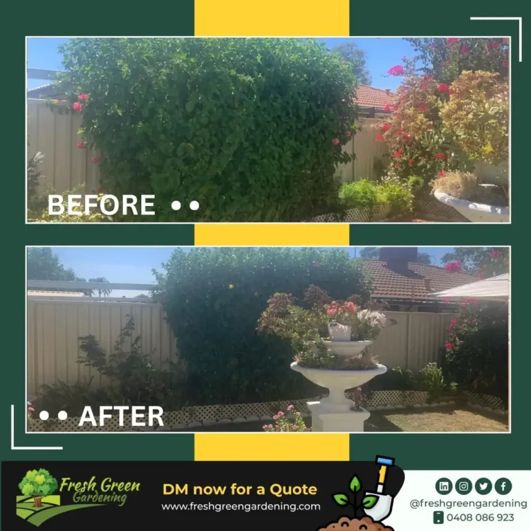 before-and-after-8
