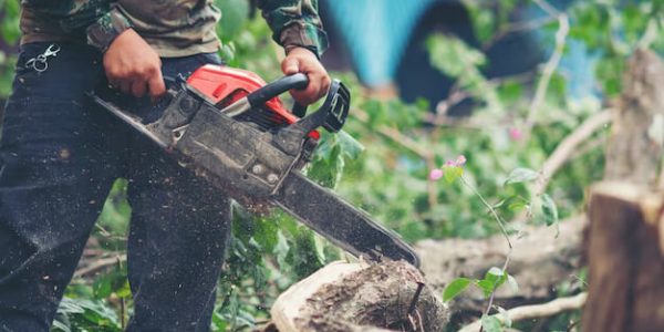 asian-man-cutting-trees-using-electrical-chainsaw_1150-5896