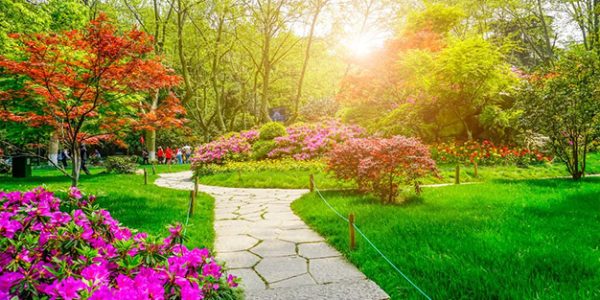 landscaping-man-cutting-grass-with-lawn-mover-back-yard_1303-22794